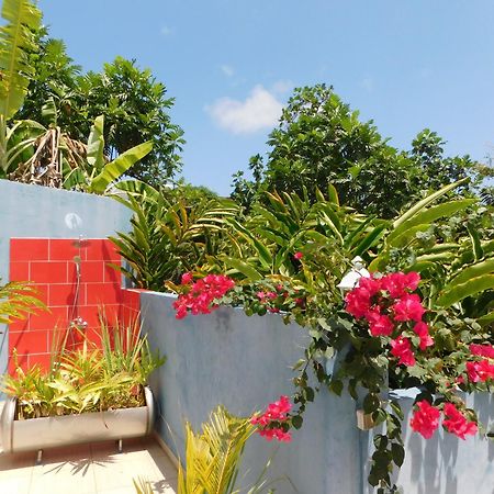 Les Hauts De Sainte-Anne "2 Spas Privatifs" 外观 照片